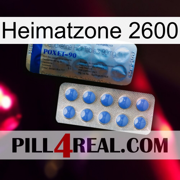 Home Zone 2600 40.jpg
